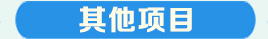 其他典型項目