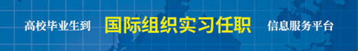 高校畢業(yè)生國際組織實習(xí)任職信息服務(wù)平臺