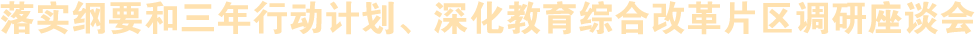 落實綱要和三年行動計劃、深化教育綜合改革片區(qū)調(diào)研座談會