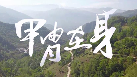 2021年新時代教師風(fēng)采短視頻：甲胄在身