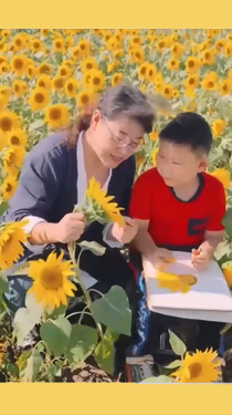 她帶著鄉(xiāng)村孩子們，走過“美”的四季