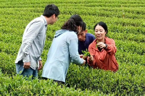 扛鋤頭，下田地！她帶領(lǐng)學(xué)生把科學(xué)技術(shù)送到田間地頭的“最后一公里”
