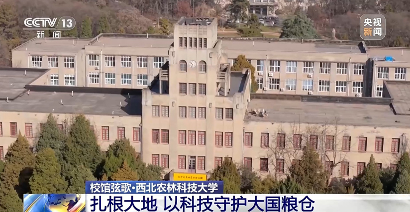 扎根大地 西北農(nóng)林科技大學(xué)以科技守護大國糧倉