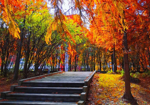 華東理工大學(xué)