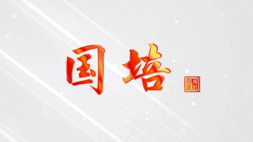 “國培計(jì)劃”10周年視頻