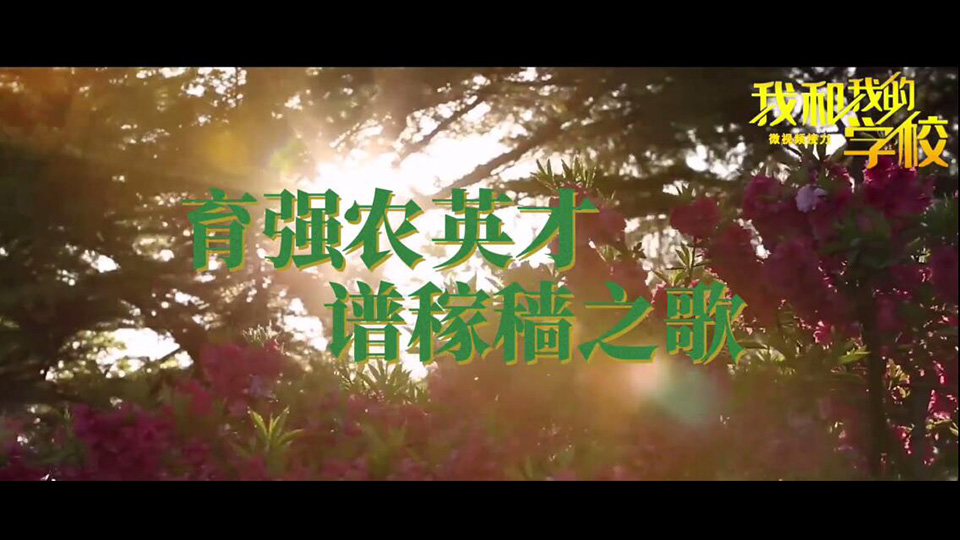 中國農(nóng)業(yè)大學(xué)